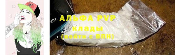 индика Аркадак