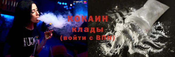 индика Аркадак