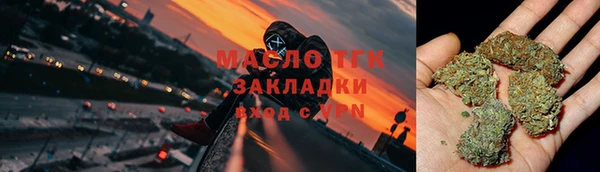 индика Аркадак