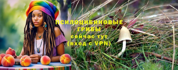твердый Арсеньев