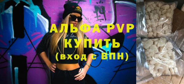индика Аркадак