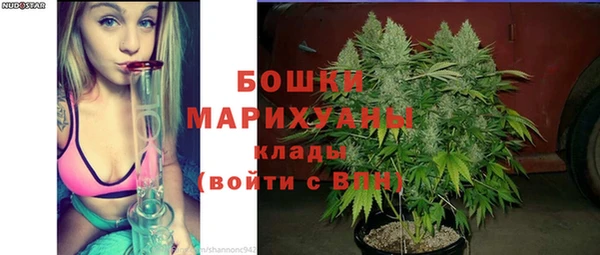 твердый Арсеньев