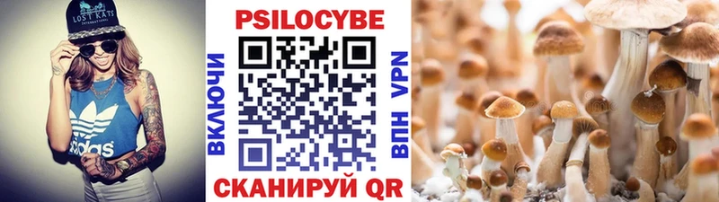 Купить где  Никольск  Галлюциногенные грибы MAGIC MUSHROOMS 